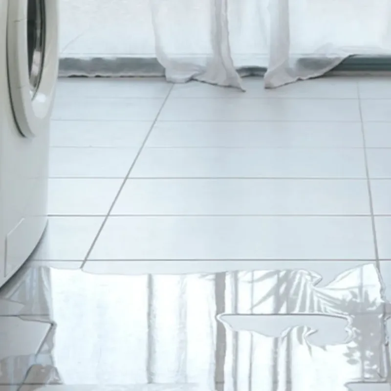 Appliance Leak Cleanup in Whiting, WI