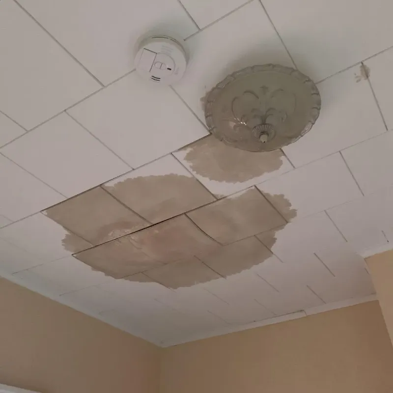 Ceiling Water Damage Repair in Whiting, WI