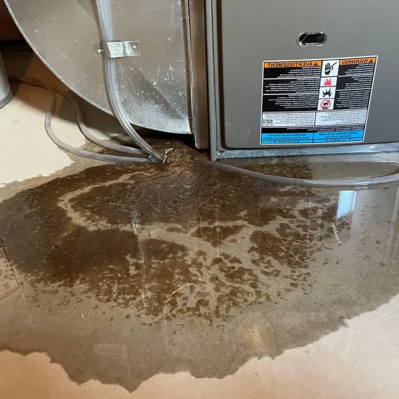 Pipe Burst and Leak Restoration in Whiting, WI