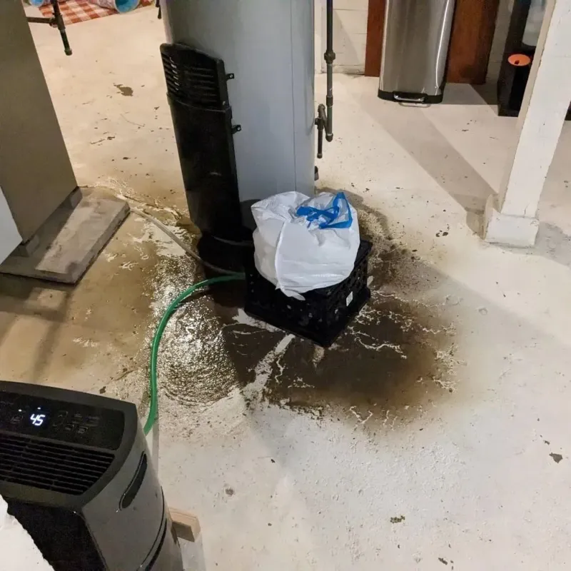 Sewage Backup Cleanup Service in Whiting, WI